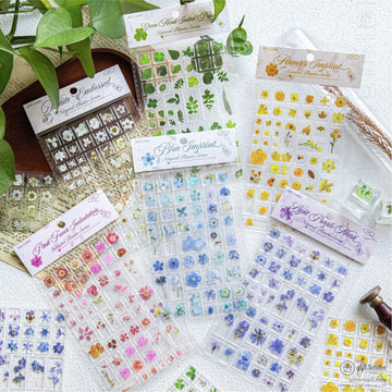 A variety of natural floral and leaf transparent sticker sheets displayed on a table with green plants