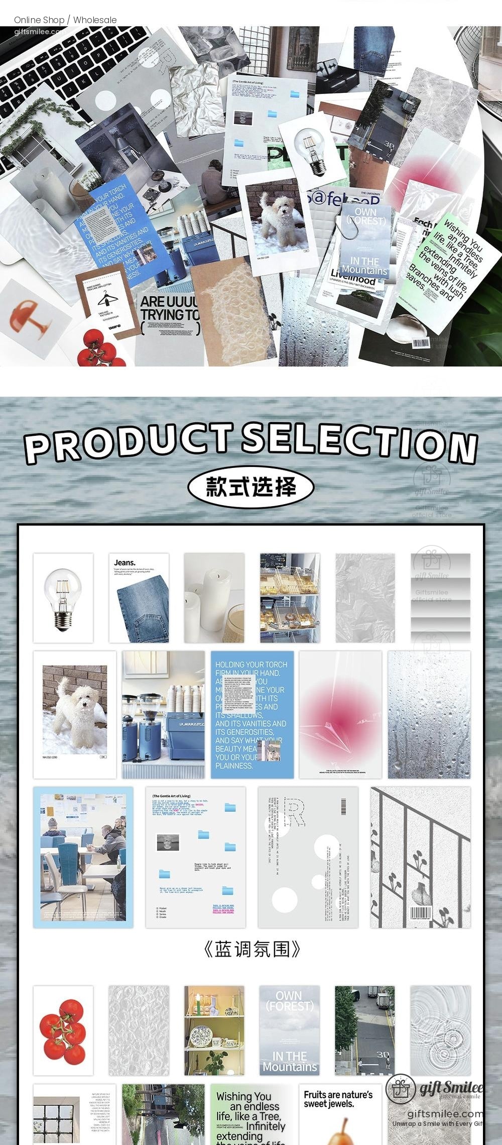 KS-CK-1203-ILA-body-image-08-full_width.jpg