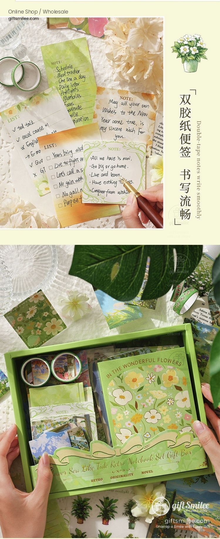 KS-GS-127-ASO-body-image-03-full_width.jpg