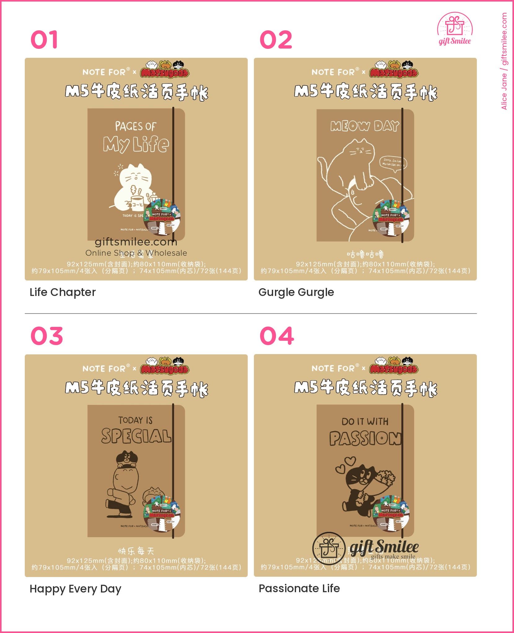 KS-MX-065-MR_types-summary-v01_v04_p01.jpg