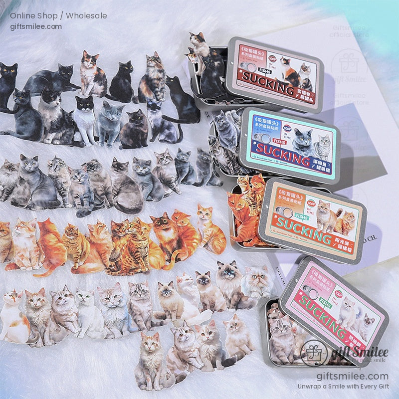 KS-SA-3822-CFC-Cover-01.jpg