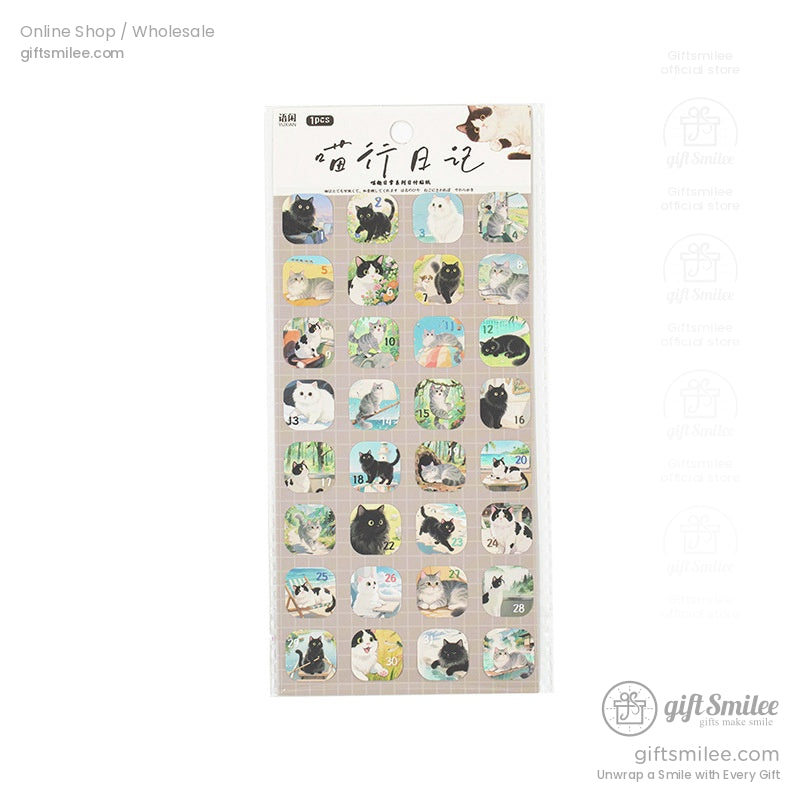 KS-SA-4119-YXM-Cover-05.jpg